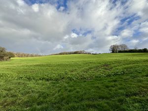 Photo 15- click for photo gallery